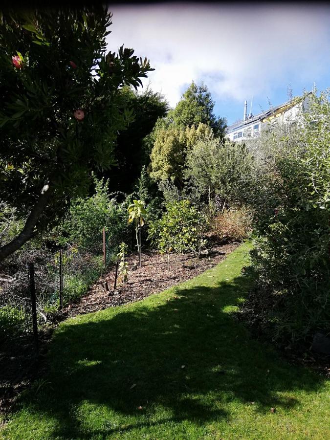 Whaka Heights Panzió Christchurch Kültér fotó